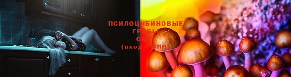 2c-b Богородск